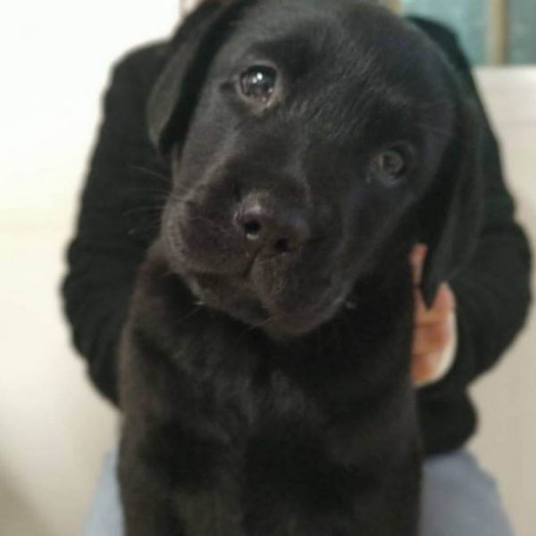 נחשו מי פה?? מרתון פלוריס פילאטיס חוזר!!! איכותי חדש ומרענן. התגעגענו….